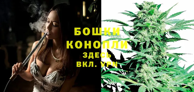 цены   Петровск  Конопля SATIVA & INDICA 